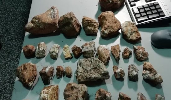 Λέσβος: Τσέχοι προσπάθησαν να κλέψουν απολιθώματα από το Απολιθωμένο Δάσος