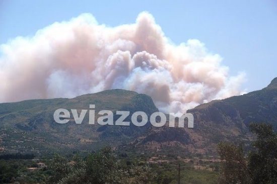 Φωτιά στην Εύβοια: Συνελήφθη ένα άτομο