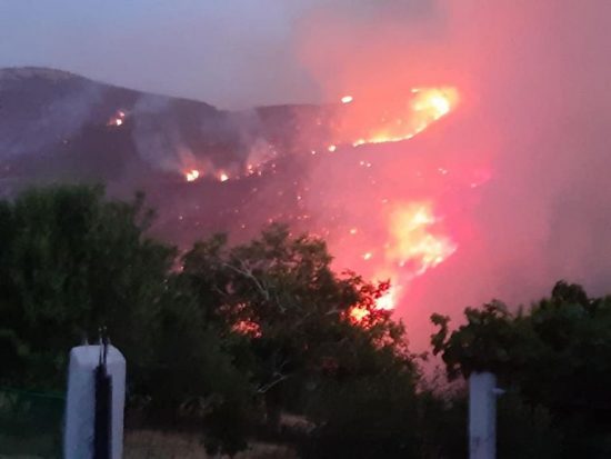 Ολονύχτια μάχη με τα πύρινα μέτωπα στην Εύβοια – Να κηρυχθεί σε κατάσταση έκτακτης ανάγκης η περιοχή ζήτησε ο Μπακογιάννης
