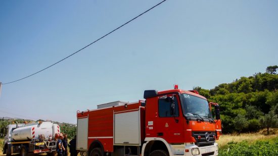 Συναγερμός στην Ερέτρια: Ζευγάρι Ισπανών χάθηκε μέσα σε δάσος