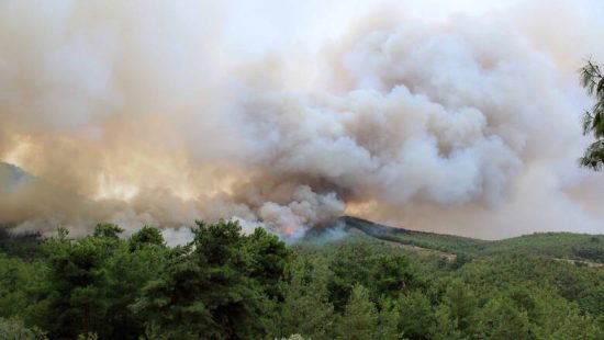 Σε πλήρη έλεγχο η πυρκαγιά στη Θάσο