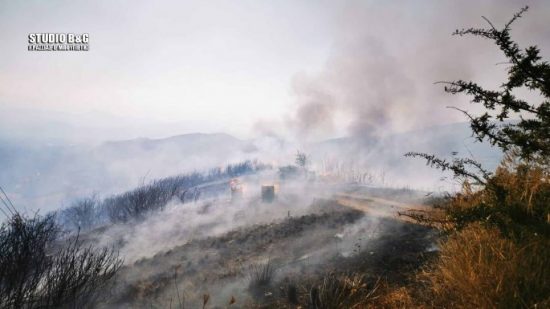Υπό μερικό έλεγχο η πυρκαγιά στην Αργολίδα