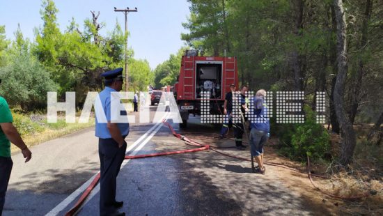 Φωτιές σε Ηλεία: Συνελήφθη ο εμπρηστής της Βουπρασίας