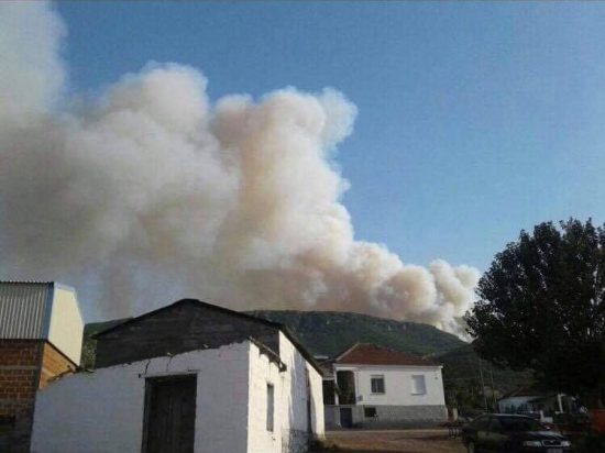 Πυρκαγιά σε δασική έκταση στα Φάρσαλα