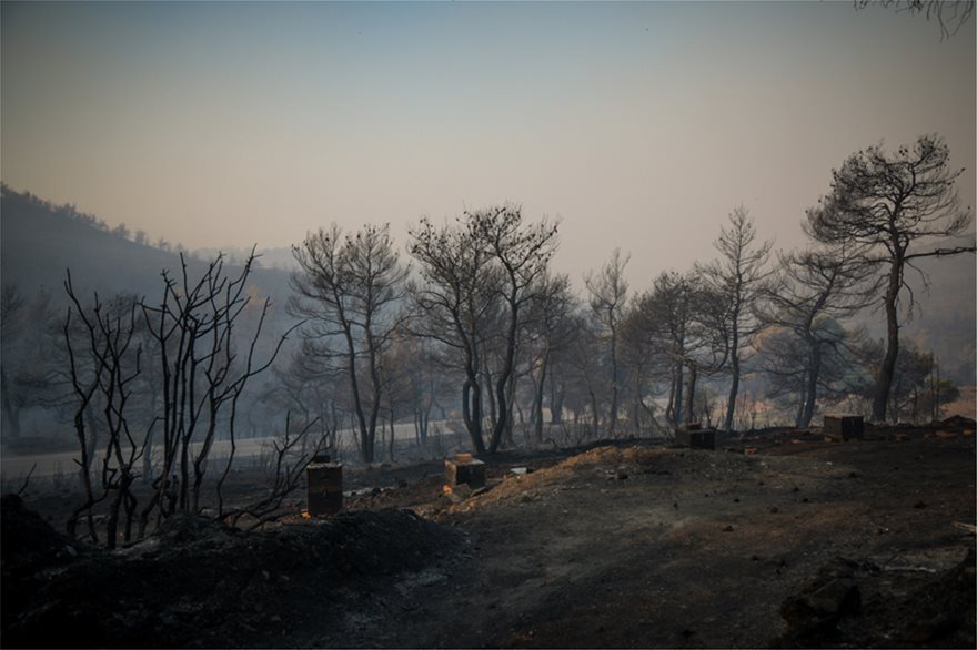 Η τεράστια καταστροφή που αφήνει πίσω της η μεγάλη φωτιά στην Εύβοια (Φωτο αρχείου) - Στην τελική ευθεία υλοποίησης το Πρόγραμμα Ανασυγκρότησης της Βόρειας Εύβοιας