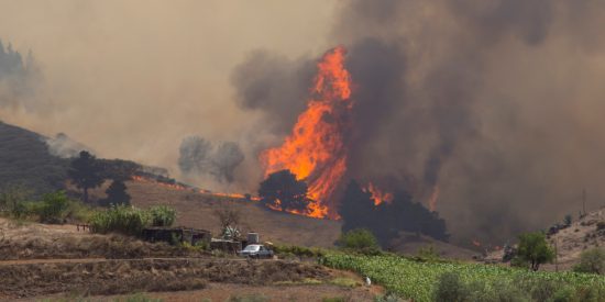 Μαίνεται η πυρκαγιά στα Γκραν Κανάρια – Απομακρύνθηκαν 8.000 τουρίστες (video)