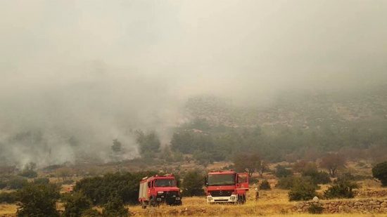 Πυρκαγιές σε Λούτσα και Δελφούς – Ενισχύονται οι δυνάμεις της Πυροσβεστικής (pics)