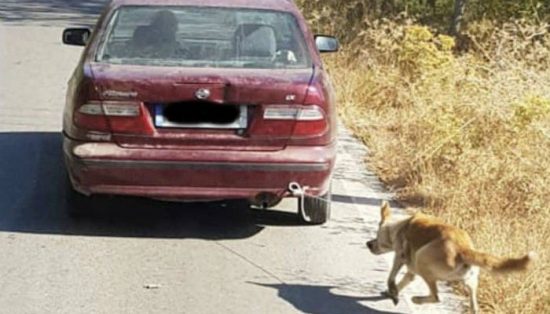 Ρέθυμνο: Συνελήφθη ο οδηγός που έσερνε τον σκύλο πίσω από το αυτοκίνητο