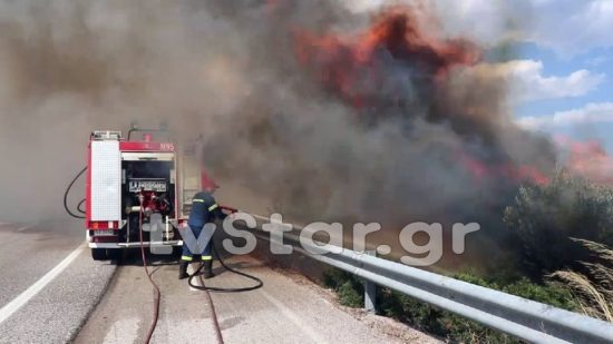 Πυρκαγιά στο Δομοκό – Διακόπηκε η κυκλοφορία