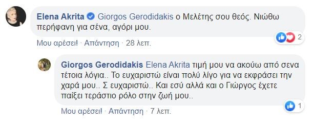 ελενα ακριτα αγριες μελισσες