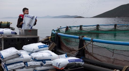 Περσεύς: Το δικαίωμα εξαγοράς των μετοχών που δεν ανήκουν στον έλεγχό της άσκησε η Andromeda Seafood
