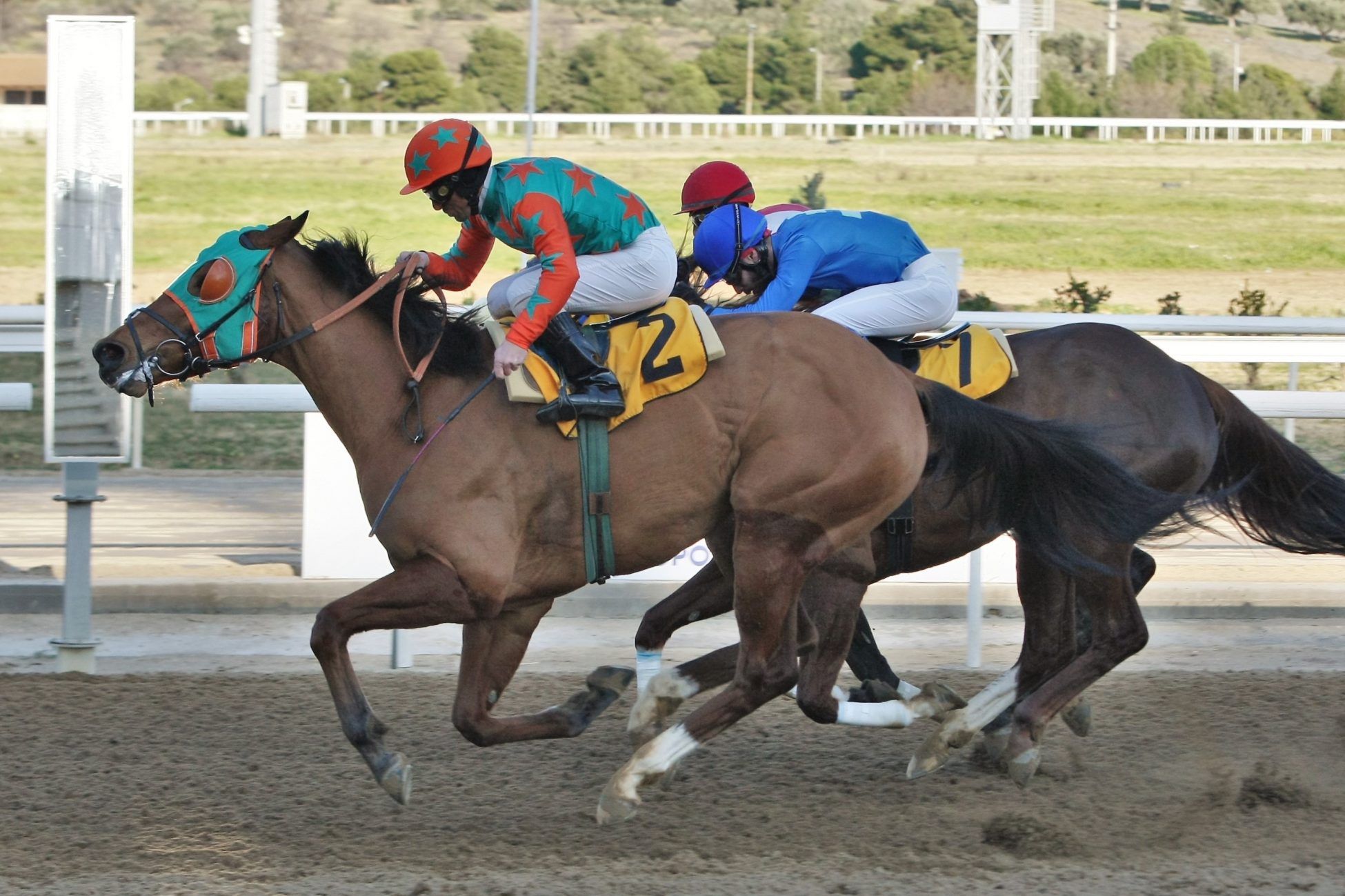 O ΠΑΡΤΥ ΤΑΪΓΚΕΡ νικητής του 1ου Μarkopoulo Park Handicap