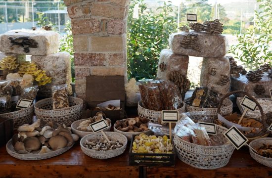MasterChef: Ποια ομάδα θα κερδίσει; (video)
