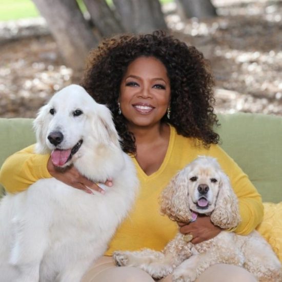 Oprah Winfrey: Από τα όρια της φτώχειας στη λίστα του Forbes με τους πλουσιότερους ανθρώπους