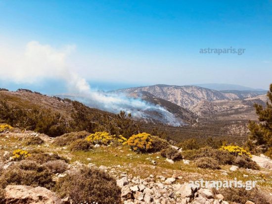 Επιστρέφει η απειλή της πυρκαγιάς: Υψηλός κίνδυνος σήμερα -Τι «μαρτυρά» ο χάρτης της Πολιτικής Προστασίας