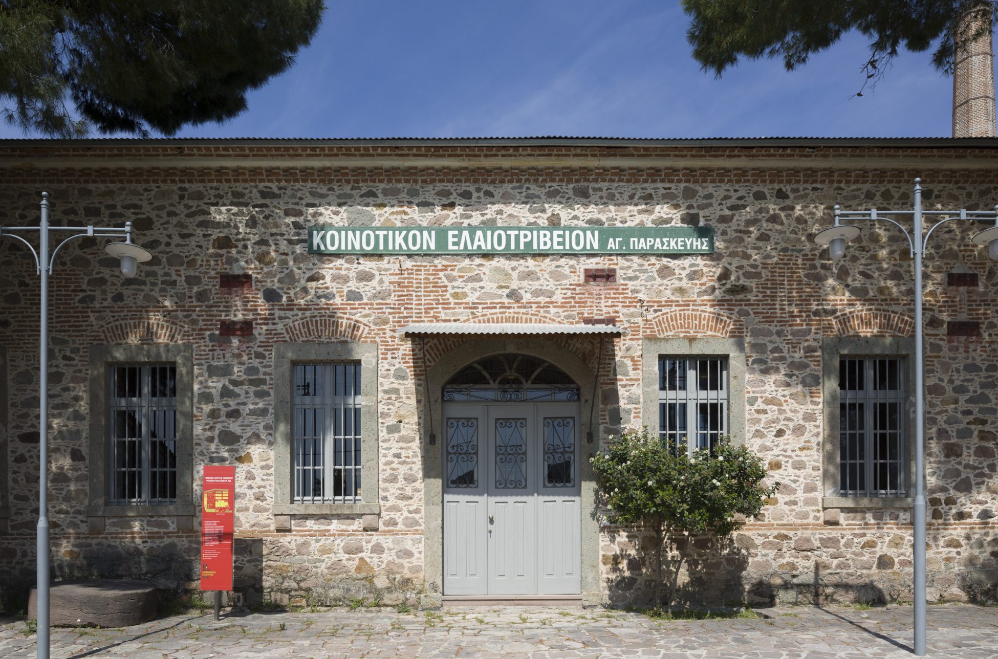 Ταξιδεύοντας στην ιστορία του ευλογημένου καρπού της Μεσογείου