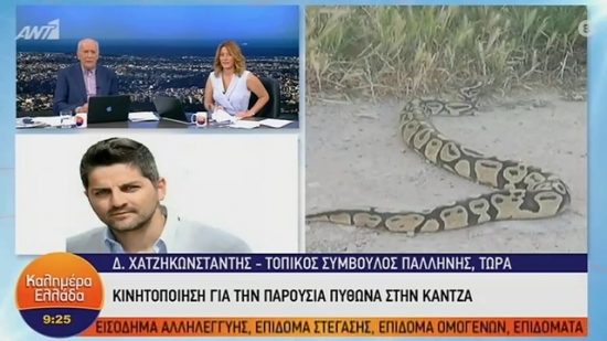 Συναγερμός στην Κάντζα μετά την εμφάνιση πύθωνα – Δεύτερος σε μια εβδομάδα