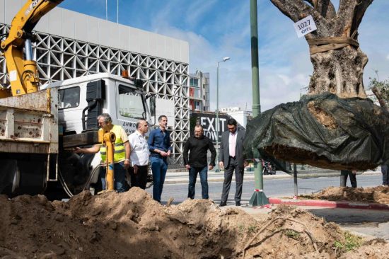 Δήμος Αθηναίων: Αιωνόβιες ελιές στην Ιερά οδό για την Παγκόσμια Ημέρα Περιβάλλοντος