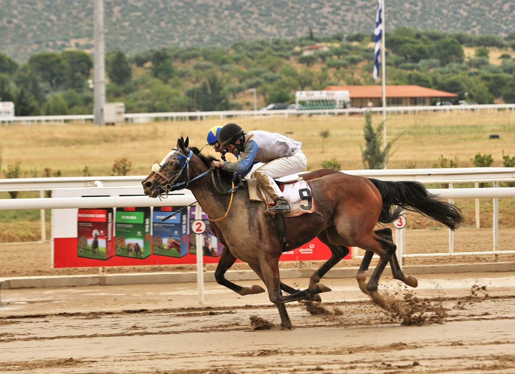 Markopoulo Park: Τέσσερα ΣΚΟΡ και δέκα ιπποδρομίες στη συγκέντρωση της Δευτέρας