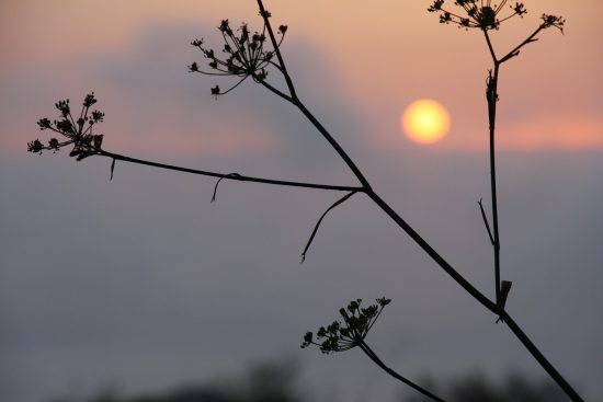 Ελλάδα: Πόσο θα αυξηθεί η θερμοκρασία