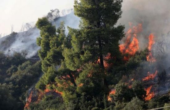 Πυρκαγιά στις Ράχες Αρκαδίας