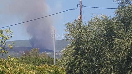 Στις φλόγες περιοχή βόρεια του Πεταλιδίου Μεσσηνίας