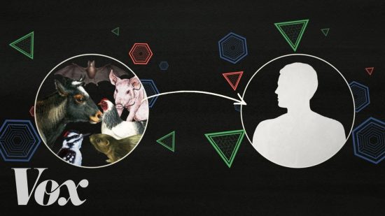 Πώς ο άνθρωπος διευκολύνει τη «γέννηση» μιας πανδημίας