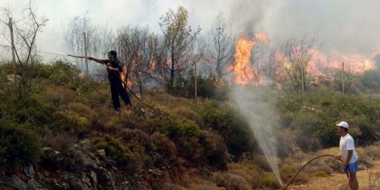 Γρεβενά: Καλή εικόνα εμφανίζει η πυρκαγιά στον δήμο Δεσκάτη