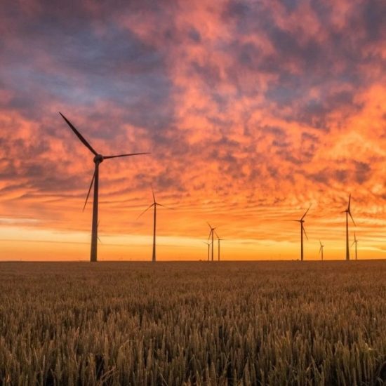 The Dark Side of Green Energy: Ένα ντοκιμαντέρ που «γεννά» αμφιβολίες για την βιώσιμη τεχνολογία
