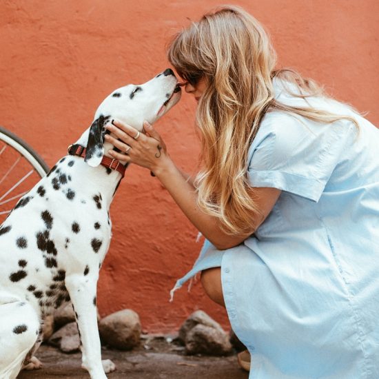 Οι ιδιοκτήτες κατοικίδιων ζώων αντιμετωπίζουν χαμηλότερα επίπεδα άγχους