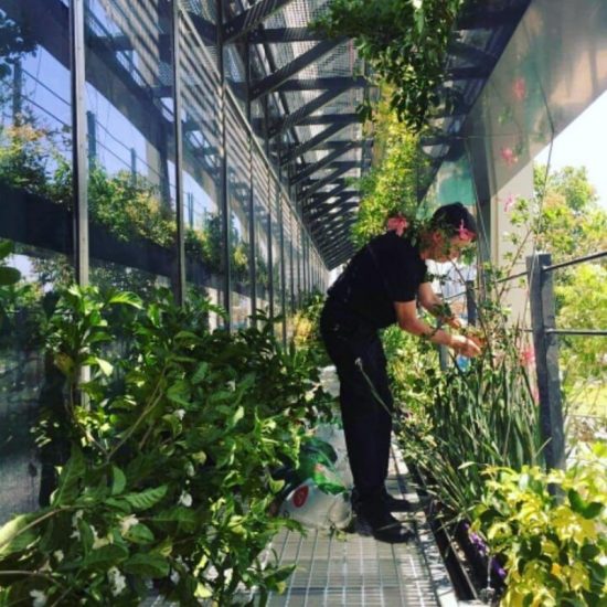 Μια startup από το Ισραήλ δημιουργεί φορητά θερμοκήπια και κάνει τον κόσμο πιο «πράσινο»