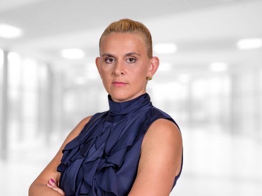 Victoriya Boklag, CEO United Group