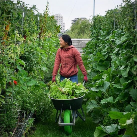 Peas & Love: H βελγική startup που μας βοηθά να γίνουμε αγρότες από την πόλη μας