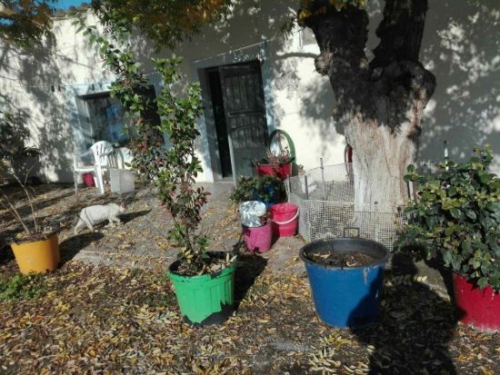 Αγροτικές φυλακές Κασσαβέτειας: Αυτό είναι το «κελί» που έμενε ο Δημήτρης Κουφοντίνας