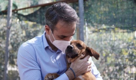 Μητσοτάκης – νομοσχέδιο για ζώα συντροφιάς: Γενναία βήματα στην προστασία των μικρών μας φίλων