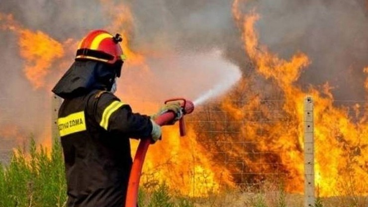 Φωτιά στην Αχαΐα: Πάνω από 3.000 στρέμματα ο τραγικός απολογισμός των καμένων περιοχών
