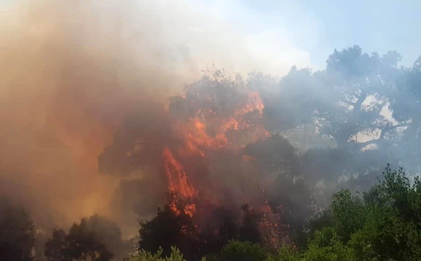 Εύβοια: Σε κατάσταση έκτακτης ανάγκης η Δημοτική Ενότητα Ελυμνίων