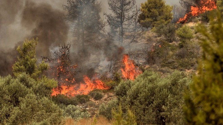 Ρόδος: Αναζωπυρώθηκε η πυρκαγιά στην περιοχή Καλαμώνας