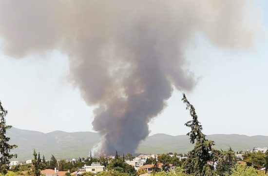 Φωτιές στην Αττική: Σε πλήρη εξέλιξη και προς κάθε κατεύθυνση η εισαγγελική έρευνα