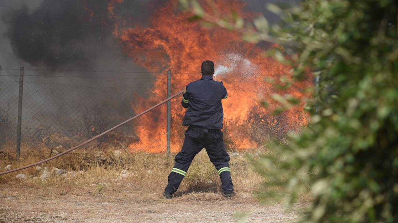 Φωτιά στο Θύμι Καρύστου Ευβοίας