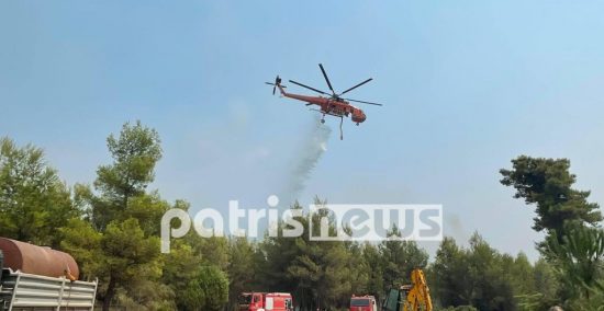 Φωτιά στην Ηλεία: Αναζωπύρωση στη Νεμούτα (video)