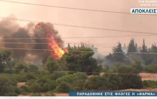 Φωτιά: Κάηκαν οι εγκαταστάσεις της Φάρμας (video)