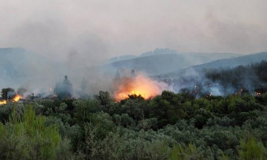 Ζάκυνθος: Προφυλακιστέος κρίθηκε 55χρονος κατηγορούμενος για εμπρησμό
