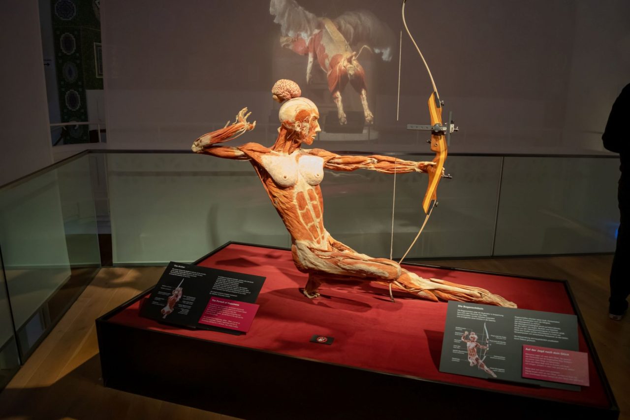 Body Worlds: Ένα ταξίδι στο ανθρώπινο σώμα - Έκθεση στον Ελληνικό Κόσμο