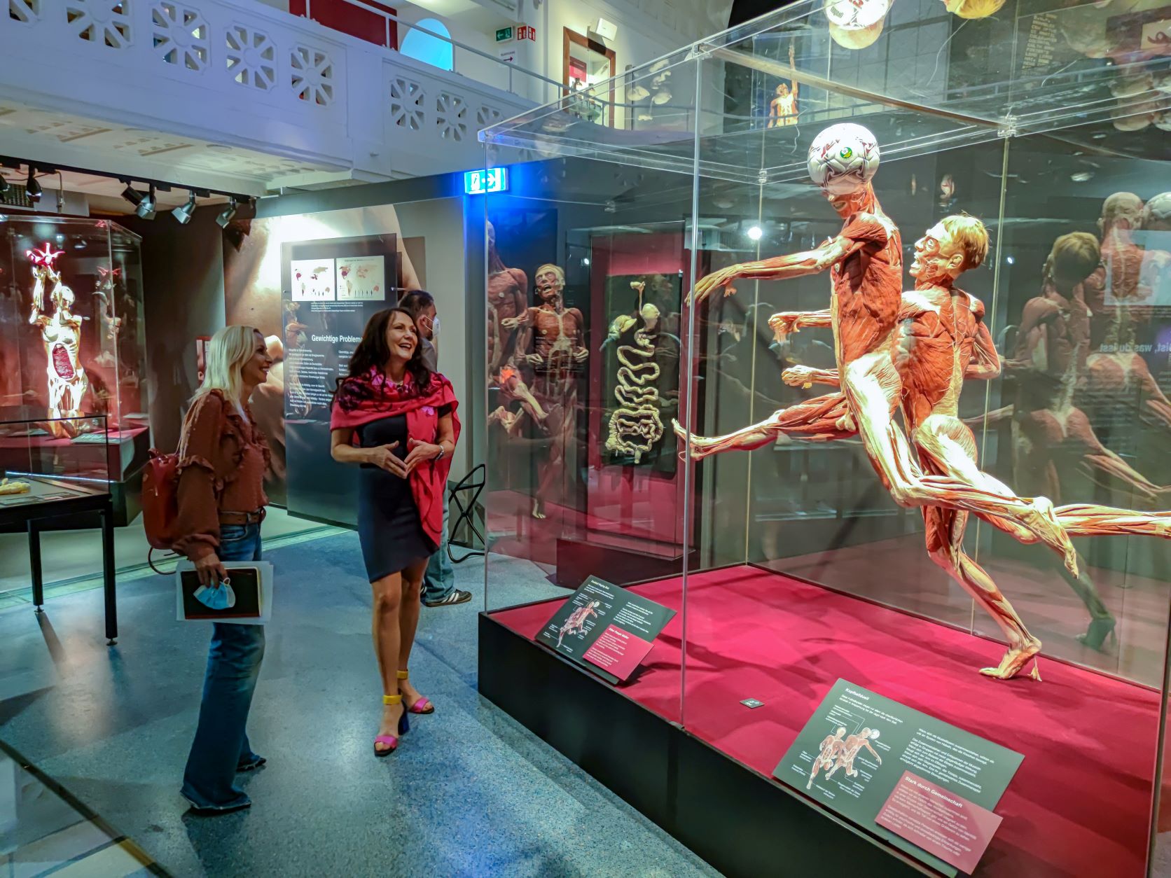 Body Worlds: Ένα ταξίδι στο ανθρώπινο σώμα - Έκθεση στον Ελληνικό Κόσμο