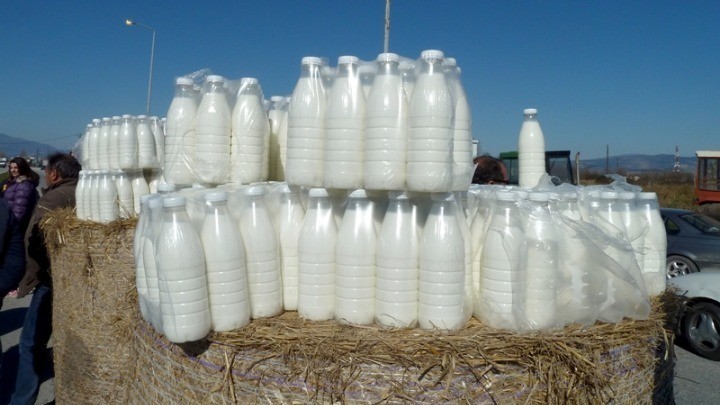 IMON: Η ελληνική εταιρεία που αξιοποιεί το δεύτερο πιο θρεπτικό προϊόν μετά το μητρικό γάλα