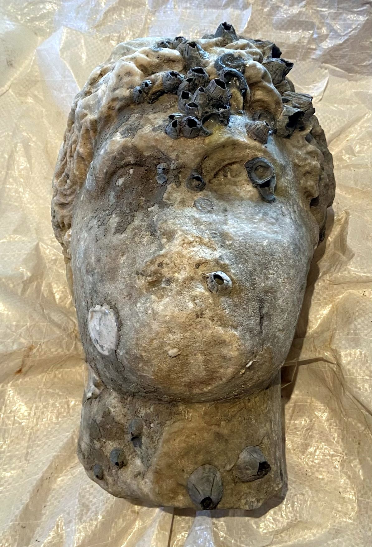 Μια αρχαία κεφαλή ανασύρθηκε από την θάλασσα της Πρέβεζας