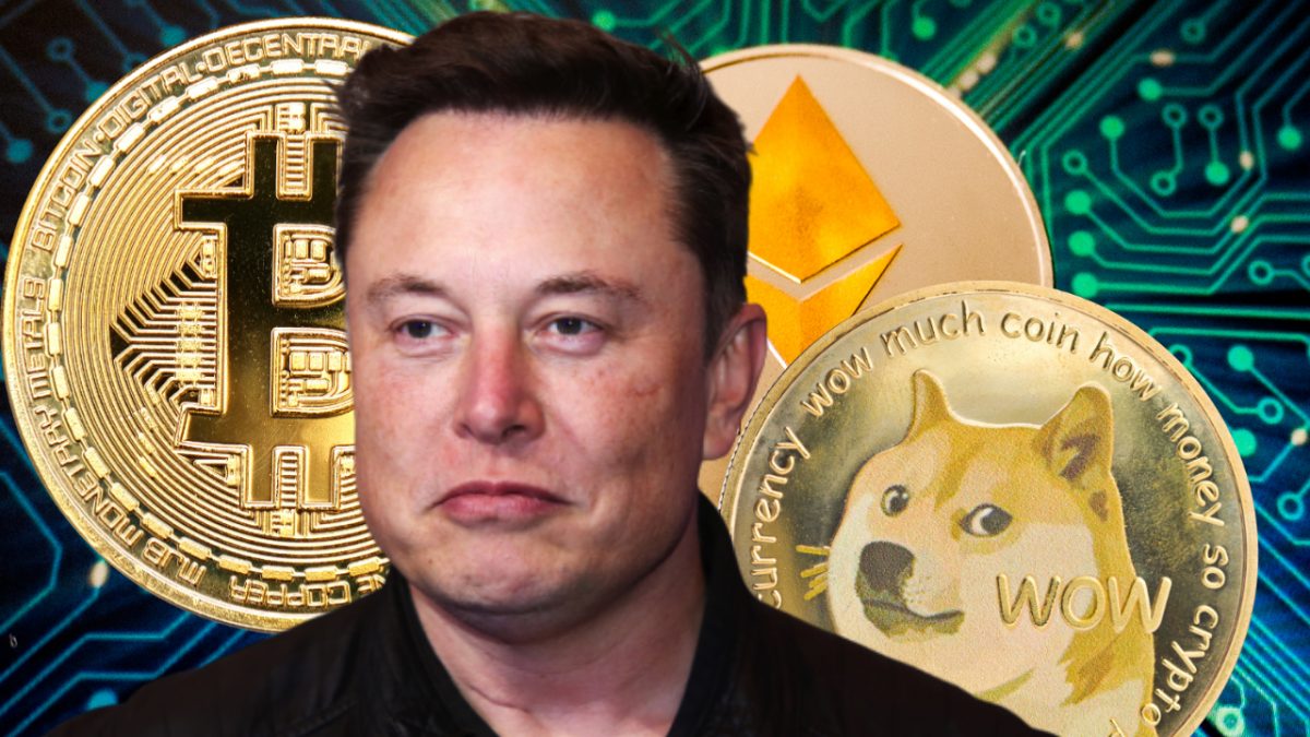 Elon Musk: Πώς γκρέμισε το κρυπτονόμισμα Shiba Inu, το οποίο είχε εκτοξεύσει πριν από λίγες ημέρες