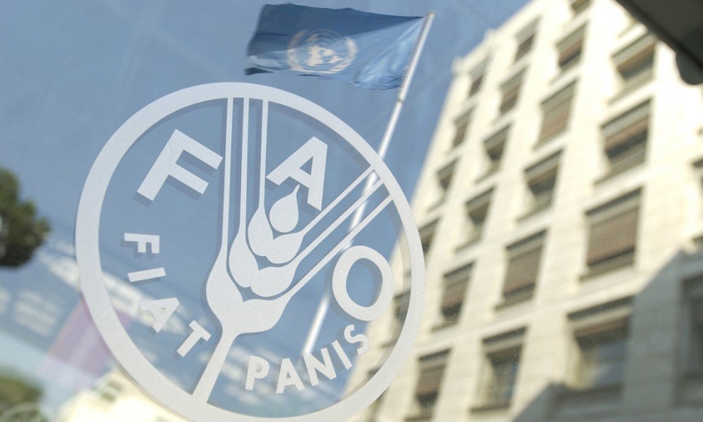 FAO: Καλεί τις χώρες να προετοιμάσουν τα συστήματα τροφίμων τους για νέα «σοκ»-Ξηρασίες και πλημμύρες