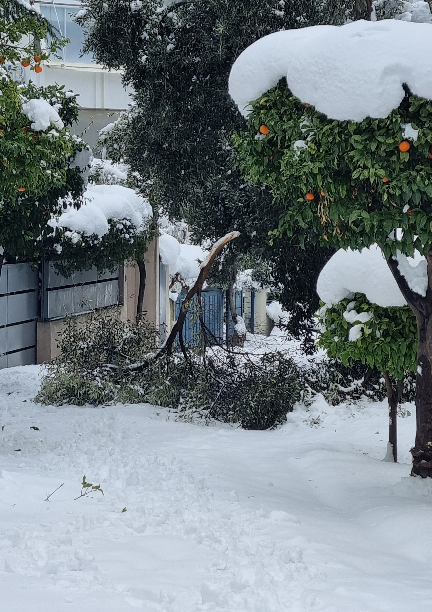 Τι να προσέξετε στην οδήγηση, τις επόμενες ώρες